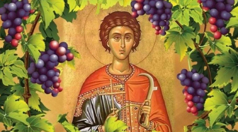 Свети Трифон е пазач на лозята, празнуват лозарите, соколарите, градинарите и кръчмарите